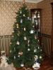 DSC00406.JPG