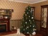 DSC00405.JPG