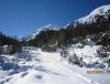 IMG_6286.jpg