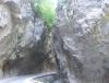 DSCF2716.JPG