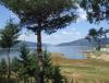 DSCF2574.JPG