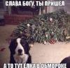 65qZangxak0.jpg