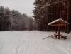 20141205_113542_Android.jpg
