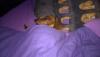 WP_20140924_08_01_17_Pro__highres.jpg