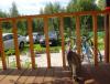 DSC01197.JPG