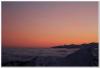 IMG_8516.jpg