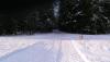 IMG_20151225_120906.jpg