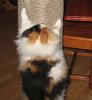 IMG_9884_resize.jpg