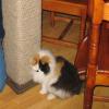 IMG_9882_resize.jpg