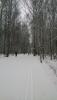 DSC_0168.jpg