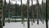 DSC_0184.jpg
