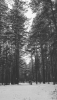 Screenshot_20171207-214521.png