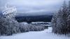 IMG_20171230_111806-02.jpeg