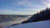 IMG_20171216_152650-01.jpeg