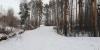 IMG_20181208_110505.jpg