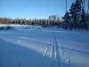 IMG_20181216_125131.jpg