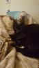 IMG-20191223-WA0018.jpg