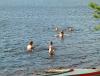 DSCF0045.JPG