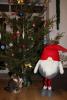 IMG_1668.JPG