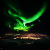 121175_1519054030.png