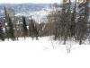 IMG_20201230_123059.jpg