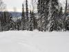 IMG_20201230_125552.jpg