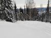 IMG_20201230_125539.jpg