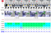 Screen Shot 2020-12-10 at 23.20.08.png