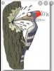 Screenshot_20201231-182934.jpg