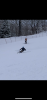 F297B0D8-9241-4E6F-9921-6BA6EFCD1570.png