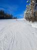 IMG_20221203_125908.jpg