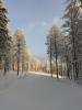 DX74_R17_20231230_104244_lmc_8.4.jpg