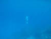 IMG-20230910-WA0008.jpg