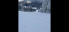 IMG_4355.png