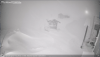 Роза 13.12.2025.PNG
