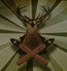 Фотография TPYCbI