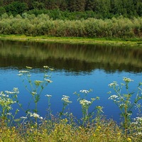 Фотография Кира С.