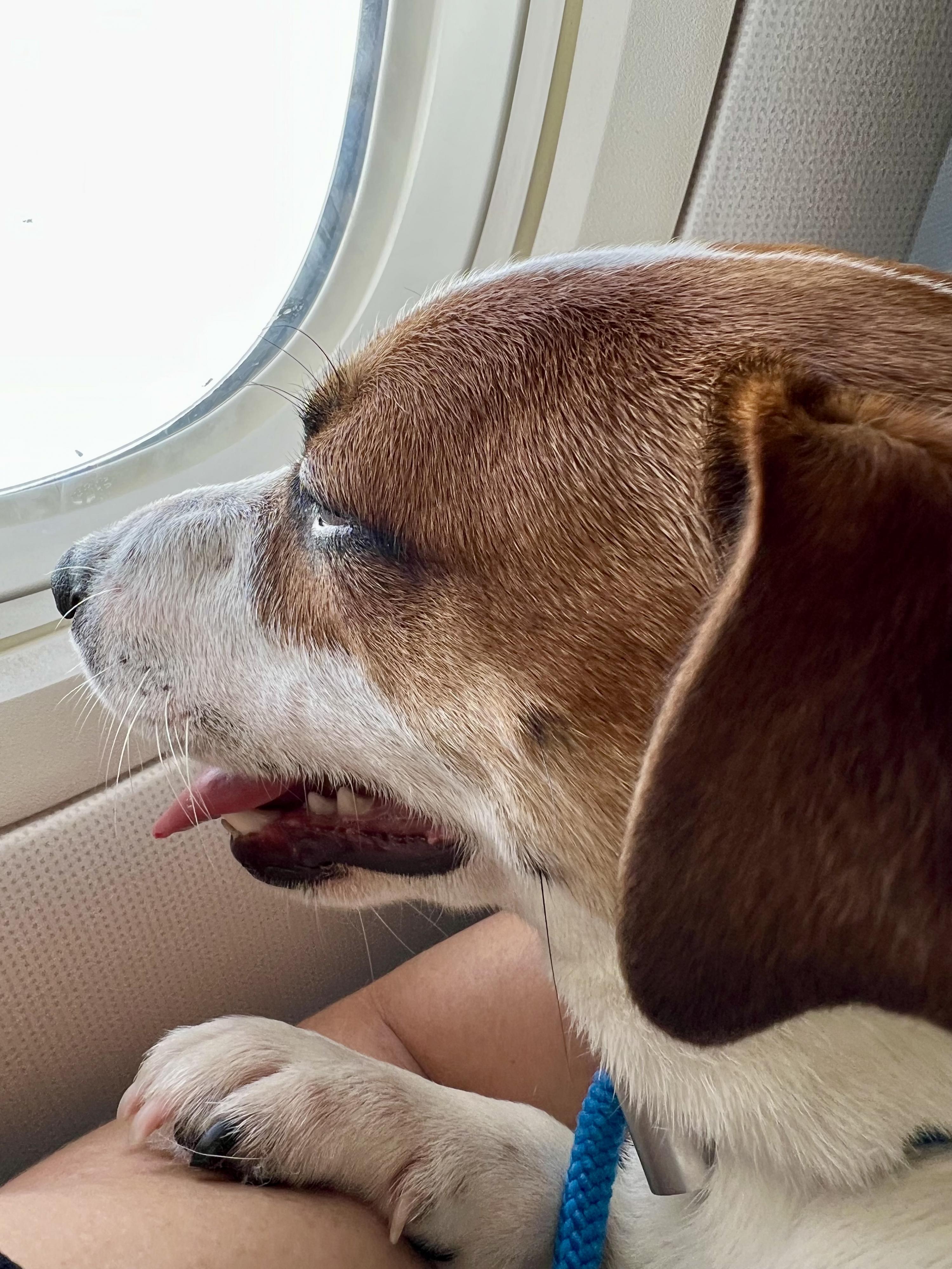 Фотография Bee1976