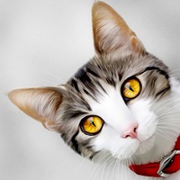 Фотография Артур Котин
