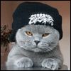 Фотография NorthCat