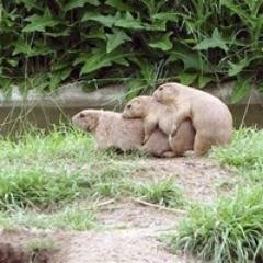 Фотография ugarows