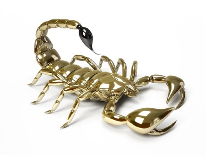 Фотография Kat2710