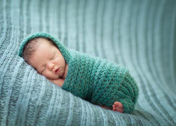 Фотография Шерстяной Кот