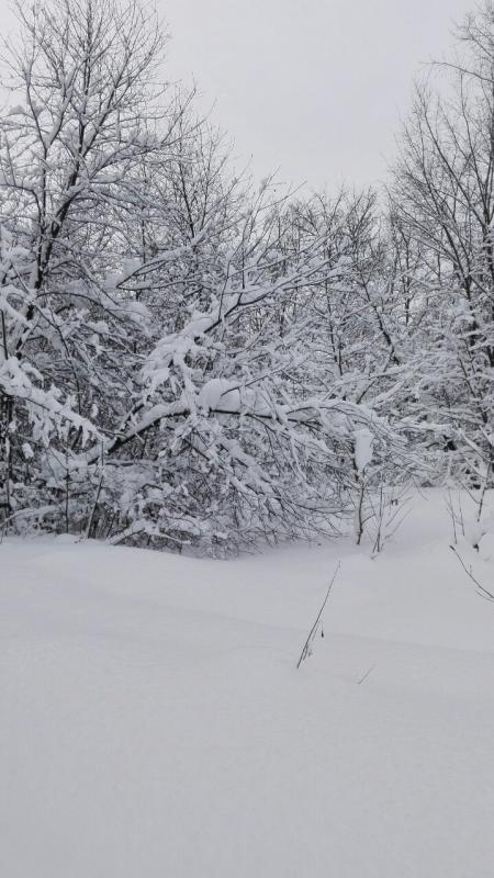 Фотография SergSnow