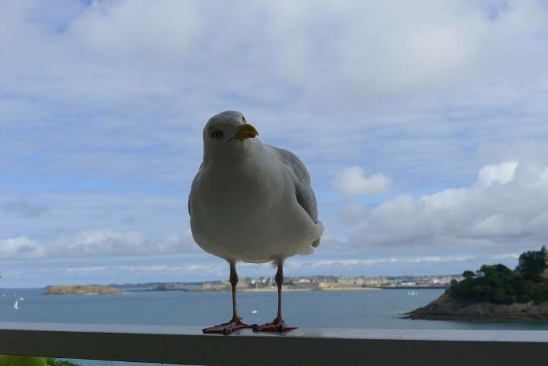 Фотография Тата Иванова