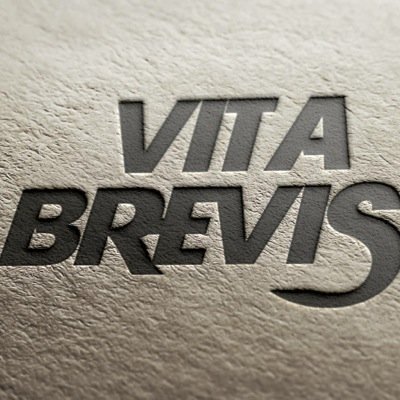 Фотография Vita Brevis