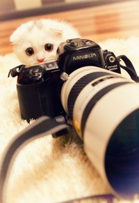 Фотография Антон Казаков