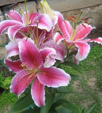 Фотография Евгения Трофимова