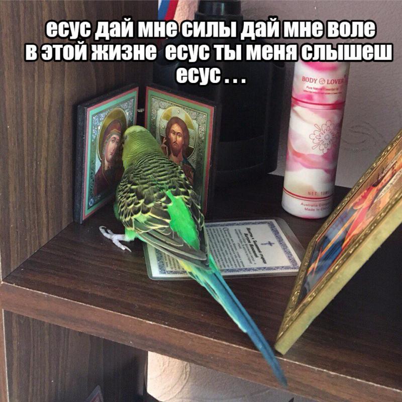 Фотография LexaMit