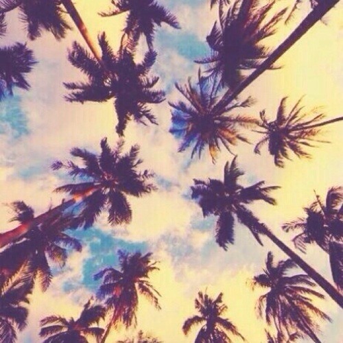 Фотография Ragnar Lordbrok